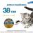 Elanco Форесто ошейник для котят и кошек, от клещей и блох