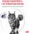 Royal Canin Neutered Maintenance влажный корм для стерилизованных кошек, мелкие кусочки в соусе