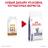 Royal Canin Mature Consult Feline сухой корм для стерилизованных котов и кошек старше 10 лет