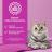 Whiskas влажный корм для взрослых кошек, желе с телятиной
