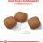 Royal Canin корм для взрослых собак крупных пород, поддержка суставов