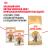 Royal Canin British Shorthair Adult сухой корм для кошек британской короткошерстной породы старше 12 месяцев