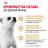 Royal Canin Chihuahua сухой корм для собак породы чихуахуа старше 8 месяцев