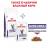 Royal Canin Mature Consult Feline сухой корм для стерилизованных котов и кошек старше 10 лет