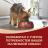 Сухой корм Purina ONE® для собак мелких пород с активным образом жизни, с высоким содержанием курицы и с рисом