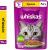 Whiskas влажный корм для кошек, рагу с курицей