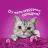 Whiskas влажный корм для взрослых кошек, желе с телятиной
