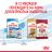 Royal Canin сухой корм для щенков средних пород