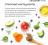 Grandorf Fresh корм для собак средних и крупных пород, беззерновой, с живыми пробиотиками, свежее филе лосося с бататом