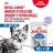 Royal Canin Indoor Sterilised влажный корм для стерилизованных кошек, живущих в помещении, кусочки в желе