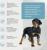 Brit Care Dog Puppy&Junior L Healthy Growth корм для щенков, индейка с ягненком