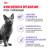 Royal Canin Sterilised 37 сухой корм для стерилизованных кошек и котов