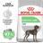Royal Canin корм для взрослых собак крупных пород с чувствительным пищеварением