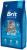 Brit Premium сухой корм для котят всех пород с курицей