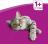 Whiskas влажный корм рыбная коллекция для кошек с лососем