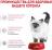 Royal Canin Kitten влажный корм для котят, соус и желе, мультипак (5+5)