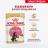Royal Canin влажный корм для котят породы Мэйн Кун, кусочки в соусе