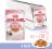 Royal Canin влажный корм для котят всех пород, в желе