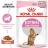Royal Canin Kitten Sterilised влажный корм для стерилизованных котят от 6 до 12 месяцев в соусе