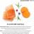 Grandorf Fresh корм для стерилизованных кошек, беззерновой, с живыми пробиотиками, свежее филе лосося с бататом