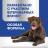 Perfect Fit Oral Care лакомство для собак средних и крупных пород, для поддержания здоровья зубов и полости рта, с говядиной и добавлением мяты