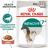 Royal Canin Instinctive+7 влажный корм для кошек старше 7 лет в соусе
