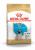 Royal Canin Pug Junior сухой корм для щенков породы мопс до 10 месяцев