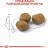 Royal Canin корм для пожилых кошек, живущих в помещении