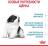 Royal Canin корм для щенков гигантских пород (с 2 до 8 месяцев)