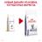 Royal Canin Calm Feline лечебный корм для кошек в стрессовом состоянии и в период адаптации