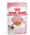 Royal Canin влажный корм для котят всех пород, в желе
