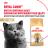 Royal Canin British Shorthair Adult сухой корм для кошек британской короткошерстной породы старше 12 месяцев