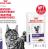 Royal Canin Neutered Maintenance влажный корм для стерилизованных кошек, мелкие кусочки в соусе