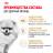 Royal Canin корм для взрослых собак породы Померанский Шпиц