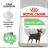 Royal Canin Mini Digestive Care сухой корм для собак мелких пород с чувствительным пищеварением с 10 месяцев до 8 лет
