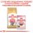 Royal Canin Kitten British Shorthair сухой корм для британских котят