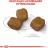 Royal Canin корм для взрослых собак малых пород, предрасположенных к образованию зубного камня