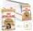 Royal Canin влажный корм для взрослых кошек породы Мэйн Кун, в соусе  