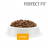 Perfect Fit корм для котят всех пород, с курицей