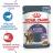 Royal Canin Appetite Control Care влажный корм для взрослых кошек контроль выпрашивания корма, желе