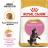 Royal Canin Kitten Maine Coon сухой корм для котят породы мейн-кун