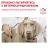 Royal Canin Neutered Adult Medium Dogs сухой корм для кастрированных собак средних пород