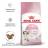 Royal Canin корм для котят всех пород