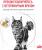 Royal Canin Urinary S/O влажный корм для кошек, при мочекаменной болезни, мелкие кусочки в соусе