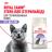 Royal Canin Sterilised 37 сухой корм для стерилизованных кошек и котов