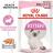 Royal Canin Kitten влажный корм для котят от 4 до 12 месяцев, паштет