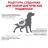 Royal Canin корм для взрослых собак всех пород с хронической болезнью почек