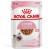 Royal Canin влажный корм для котят всех пород, в соусе