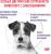 Royal Canin Neutered S корм для взрослых стерилизованных собак малых пород