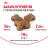 Royal Canin Kitten сухой корм для котят